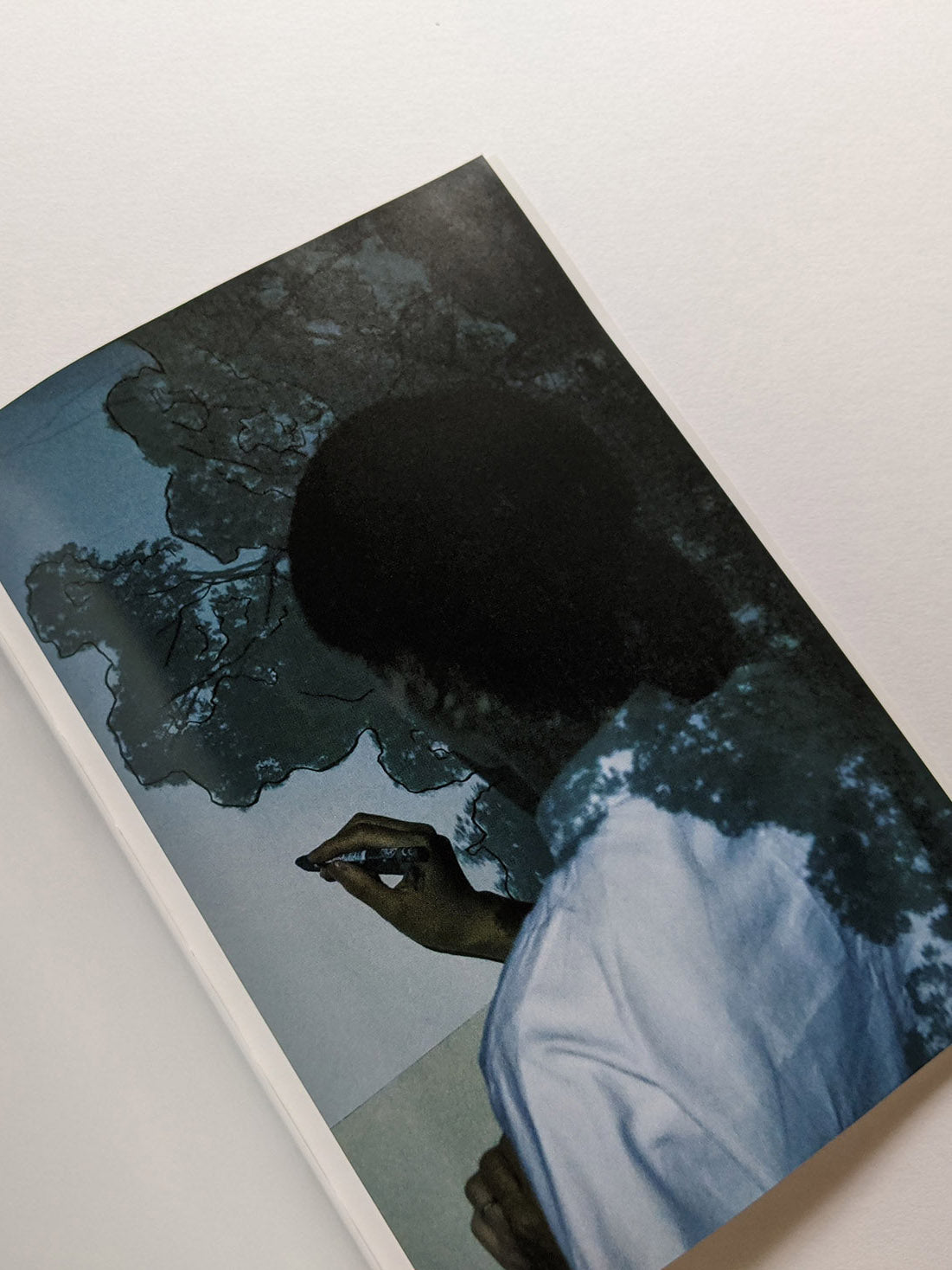 Seeing Itself－見えないものを見る / Takashi Homma