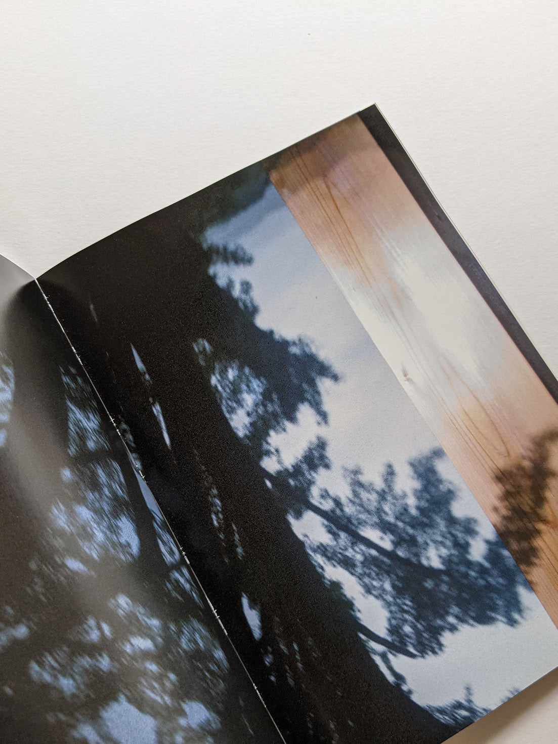 Seeing Itself－見えないものを見る / Takashi Homma