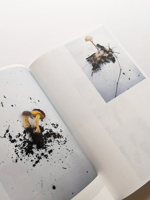 Seeing Itself－見えないものを見る / Takashi Homma