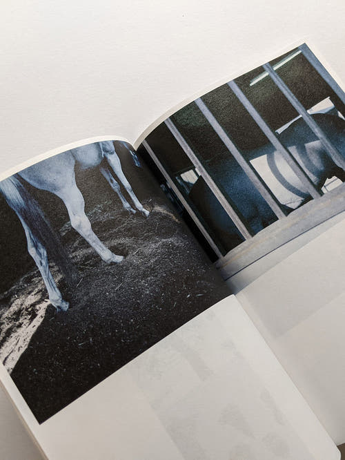 Seeing Itself－見えないものを見る / Takashi Homma