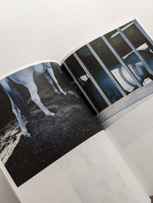 Seeing Itself－見えないものを見る / Takashi Homma