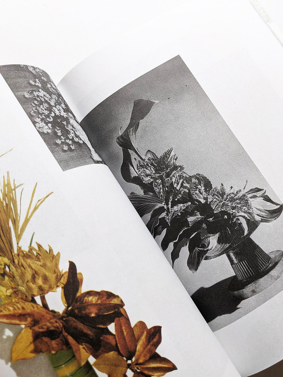 ARRANGING FLOWER ARRANGING by Andrea Salerno, Yeliz Secerli [SECOND PRINTING]