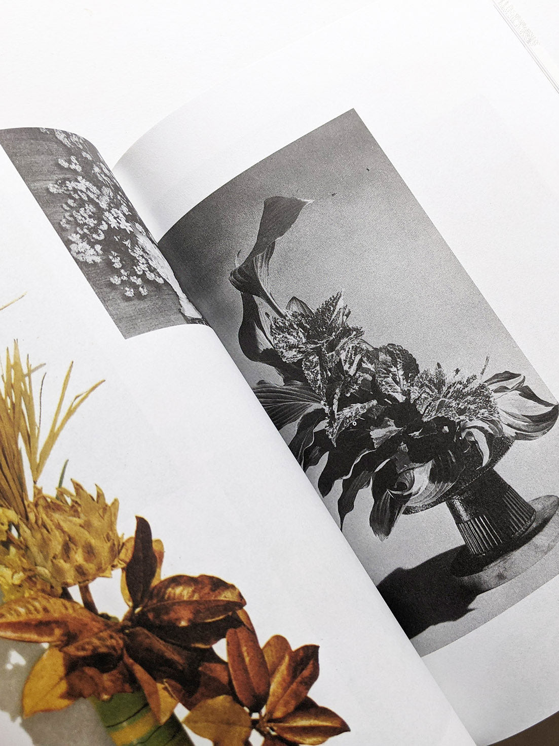 ARRANGING FLOWER ARRANGING by Andrea Salerno, Yeliz Secerli [SECOND PRINTING]