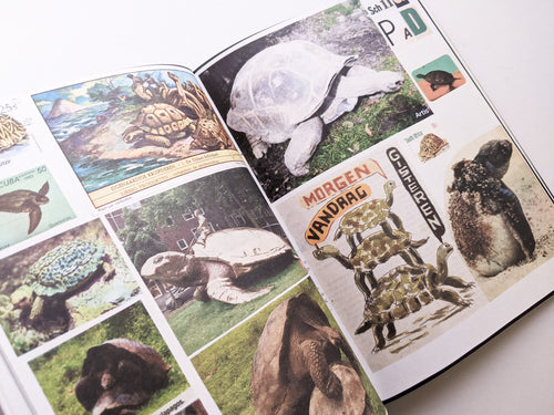 Animal Books For Jaap Zeno Anna Julian Luca (New edition) / Lous Martens