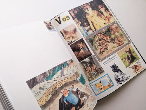 Animal Books For Jaap Zeno Anna Julian Luca (New edition) / Lous Martens