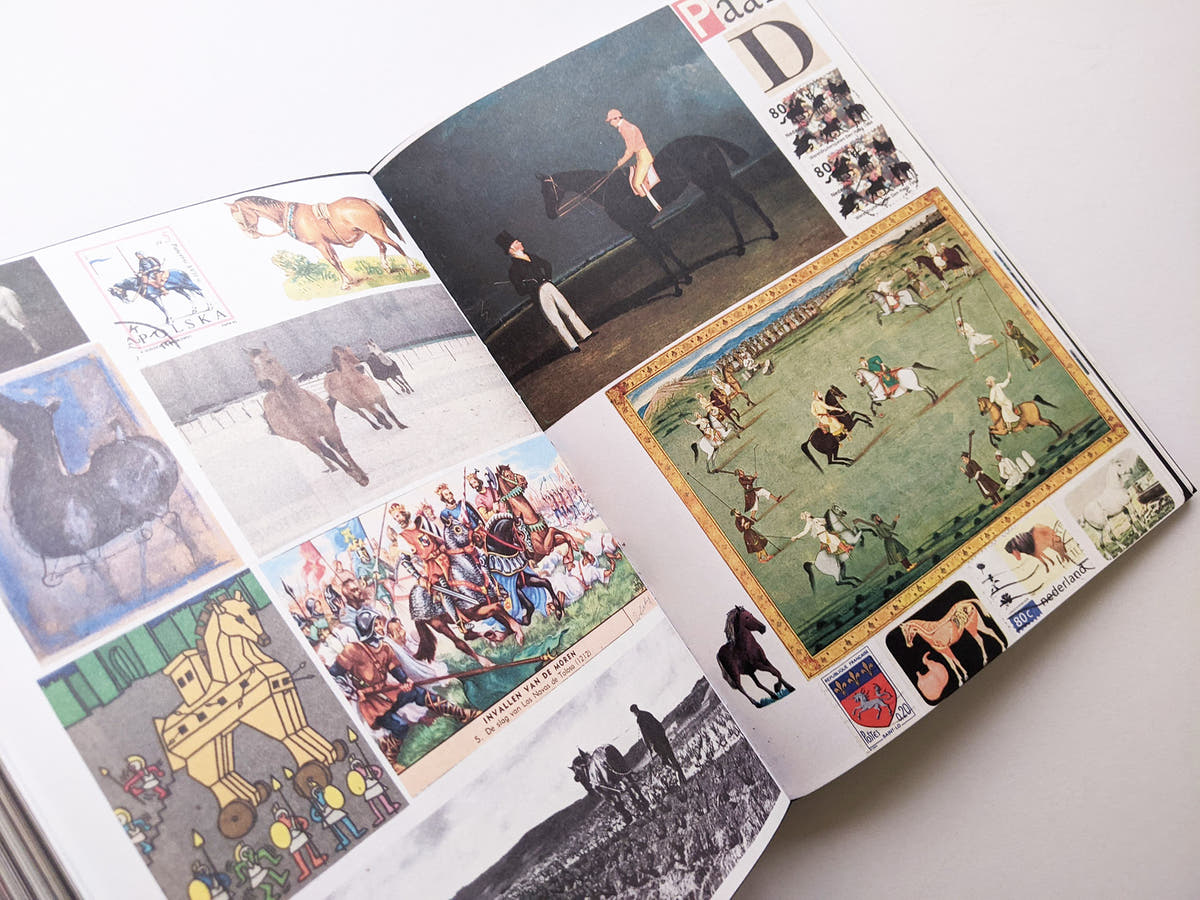 Animal Books For Jaap Zeno Anna Julian Luca (New edition) / Lous Martens