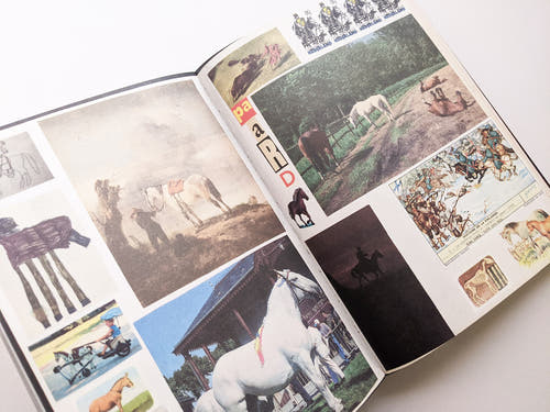 Animal Books For Jaap Zeno Anna Julian Luca (New edition) / Lous Martens
