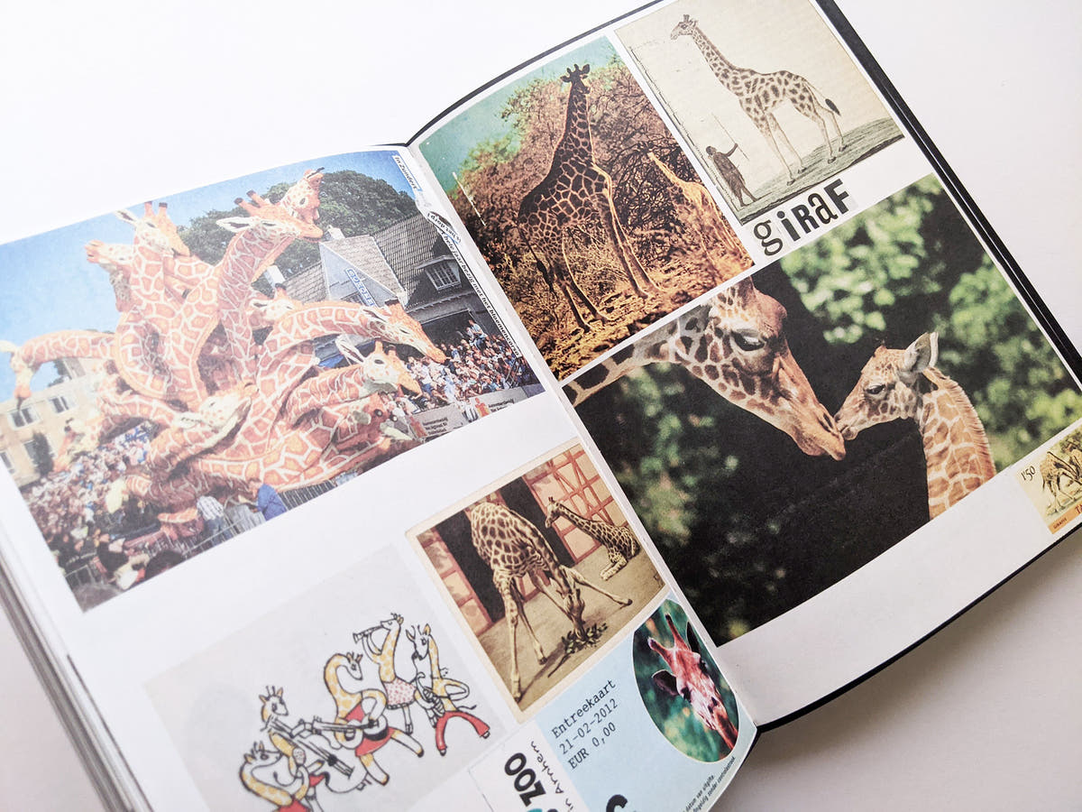 Animal Books For Jaap Zeno Anna Julian Luca (New edition) / Lous Martens
