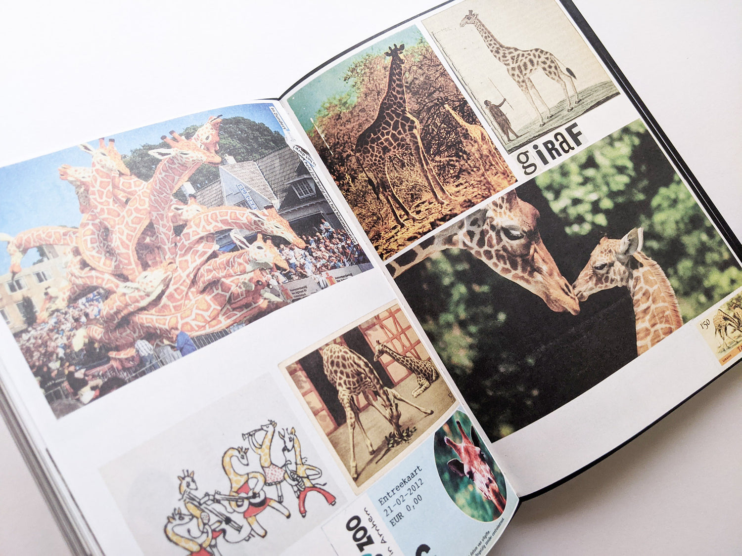 Animal Books For Jaap Zeno Anna Julian Luca (New edition) / Lous Martens