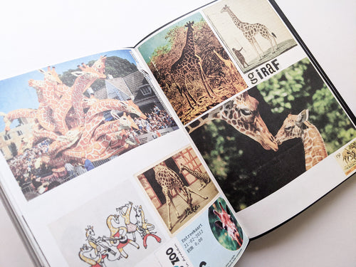 Animal Books For Jaap Zeno Anna Julian Luca (New edition) / Lous Martens