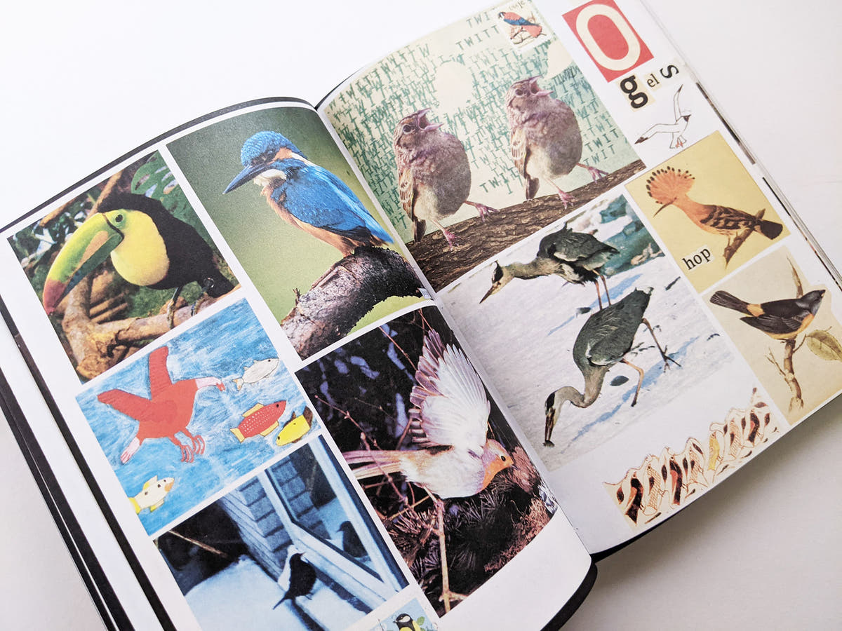 Animal Books For Jaap Zeno Anna Julian Luca (New edition) / Lous Martens
