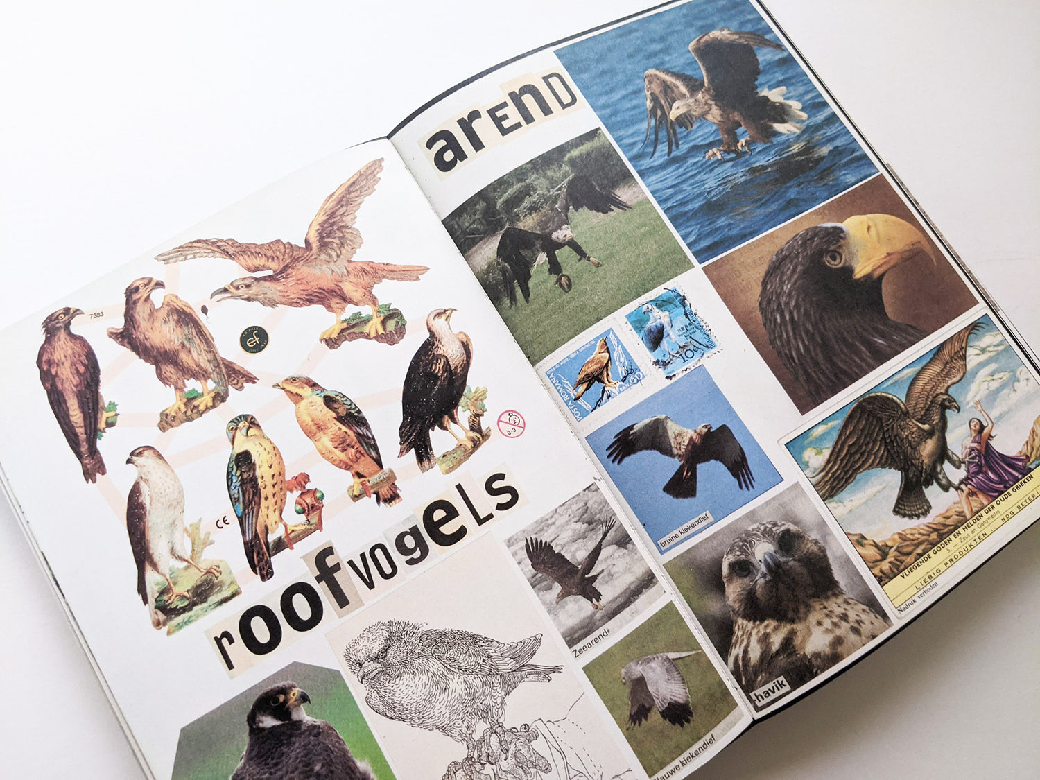 Animal Books For Jaap Zeno Anna Julian Luca (New edition) / Lous Martens