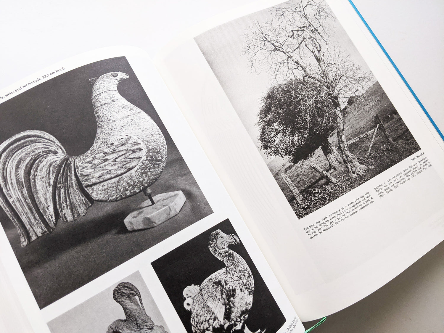 Parallel Encyclopedia 1 (reprint) / Batia Suter