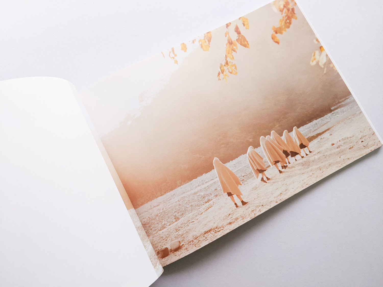 Assembly 0 / Osamu Yokonami