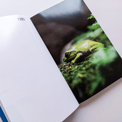 Tofu-Knife / Kohei Kawatani [SIGNED]