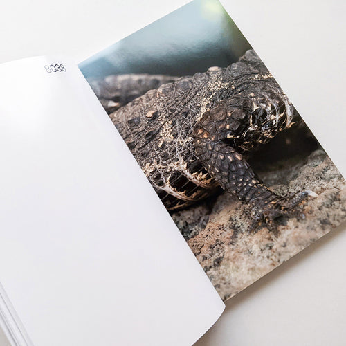 Tofu-Knife / Kohei Kawatani [SIGNED]