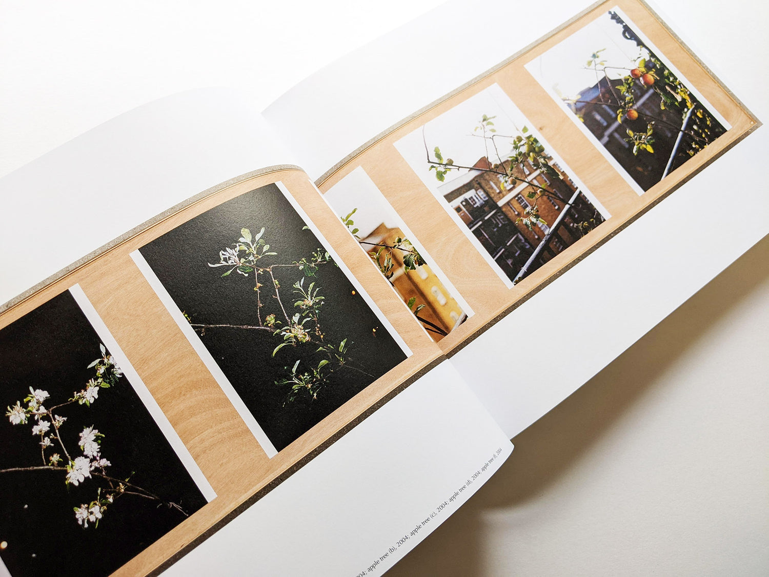 WHAT'S WRONG WITH REDISTRIBUTION? / Wolfgang Tillmans