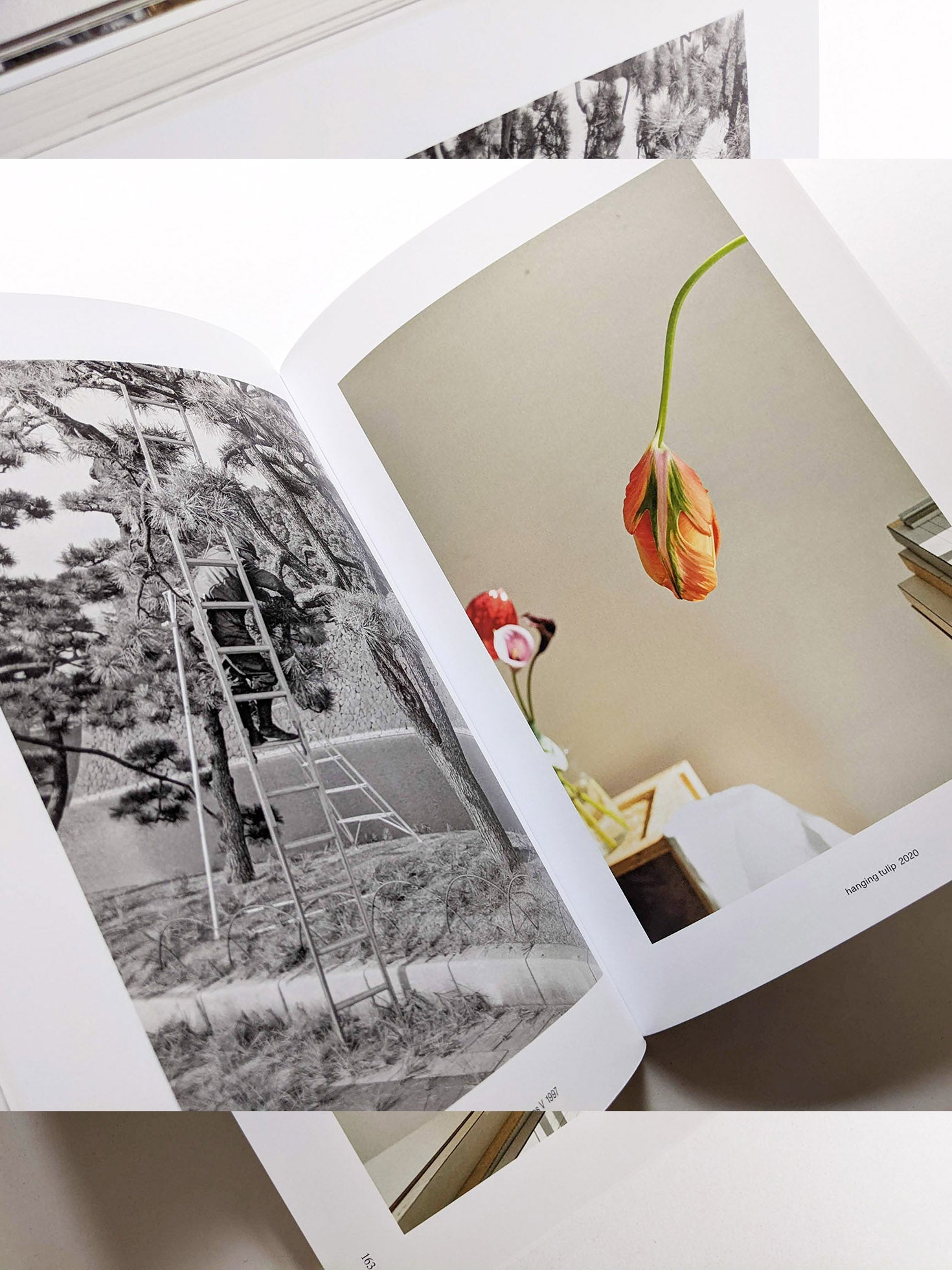 SOUND IS LIQUID / Wolfgang Tillmans