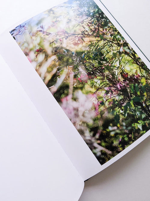 DES OISEAUX / TERRI WEIFENBACH [SIGNED]