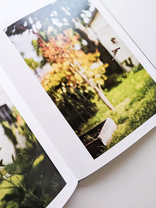 DES OISEAUX / TERRI WEIFENBACH [SIGNED]