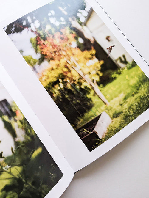 DES OISEAUX / TERRI WEIFENBACH [SIGNED]