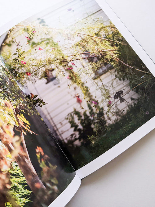 DES OISEAUX / TERRI WEIFENBACH [SIGNED]