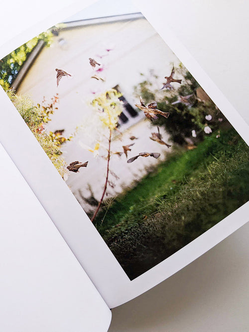 DES OISEAUX / TERRI WEIFENBACH [SIGNED]