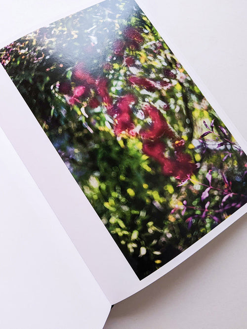 DES OISEAUX / TERRI WEIFENBACH [SIGNED]