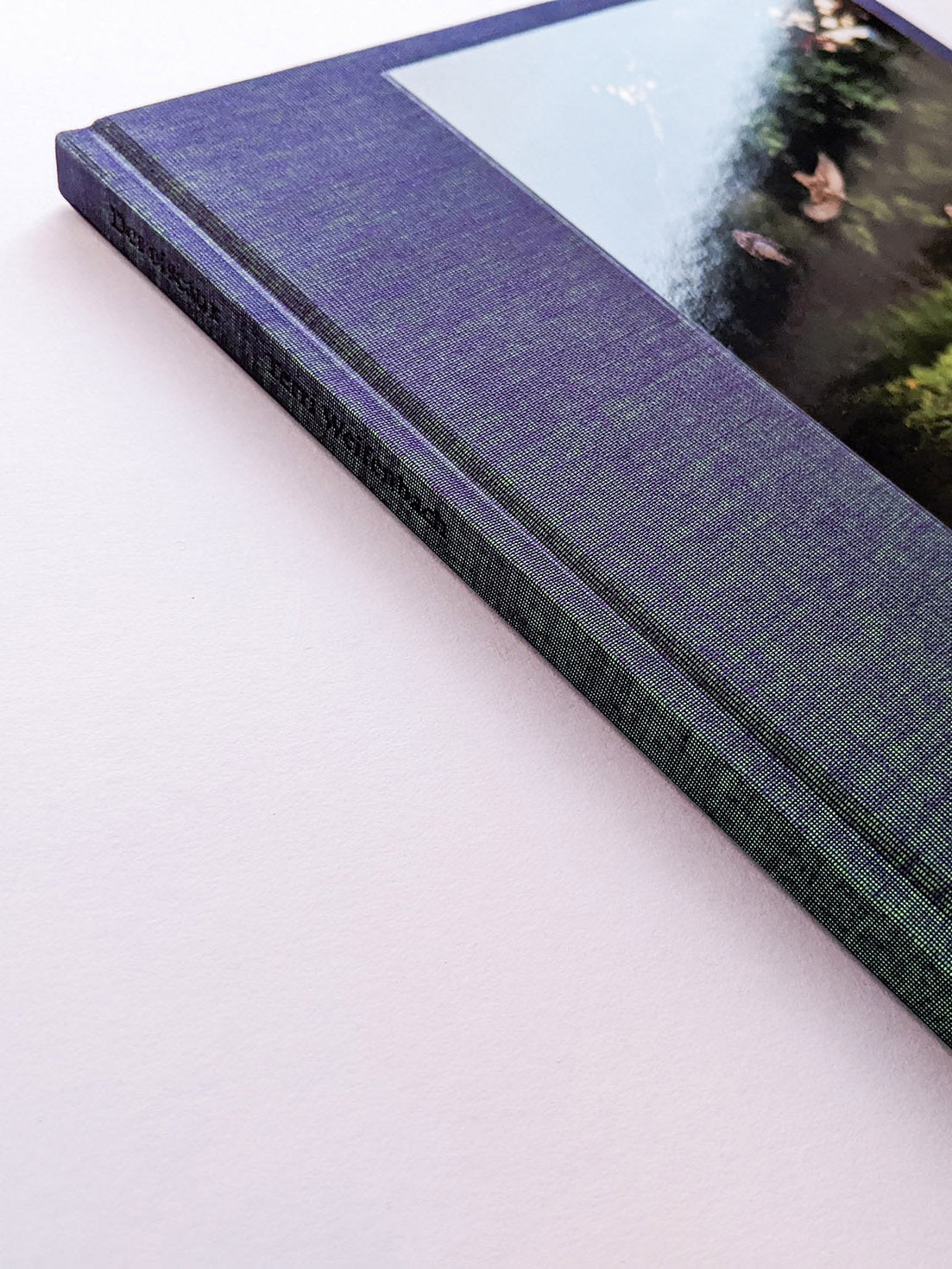 DES OISEAUX / TERRI WEIFENBACH [SIGNED]