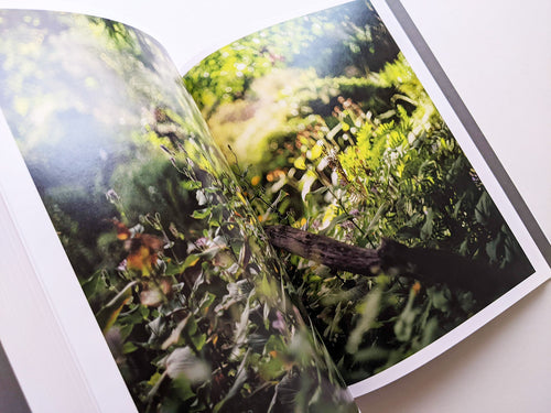 CLOUD PHYSICS / TERRI WEIFENBACH