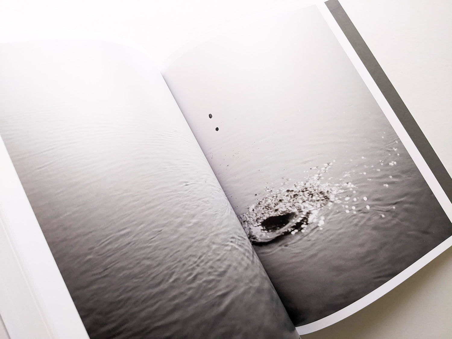 CLOUD PHYSICS / TERRI WEIFENBACH