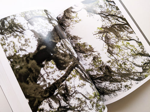 CLOUD PHYSICS / TERRI WEIFENBACH