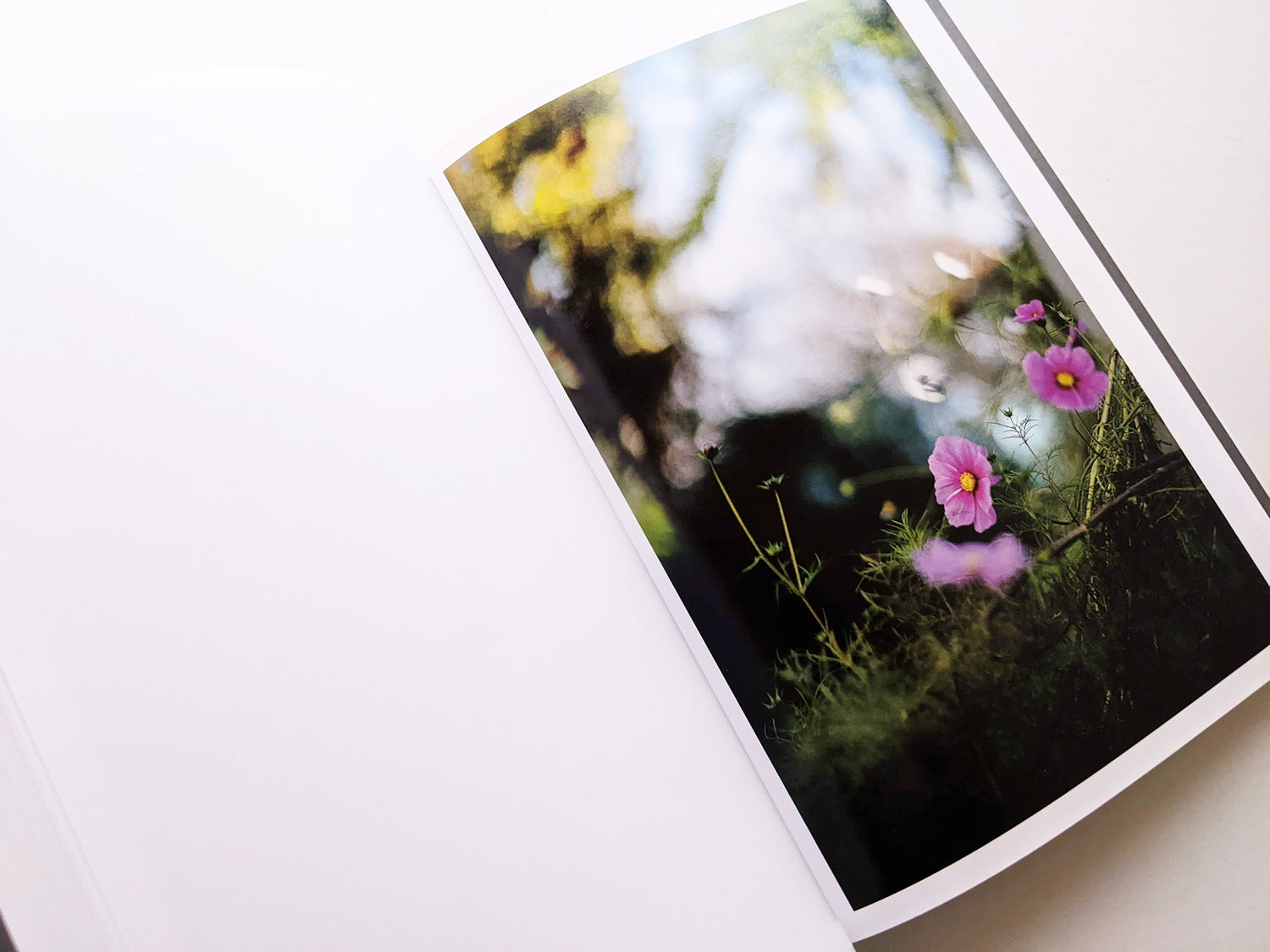 CLOUD PHYSICS / TERRI WEIFENBACH