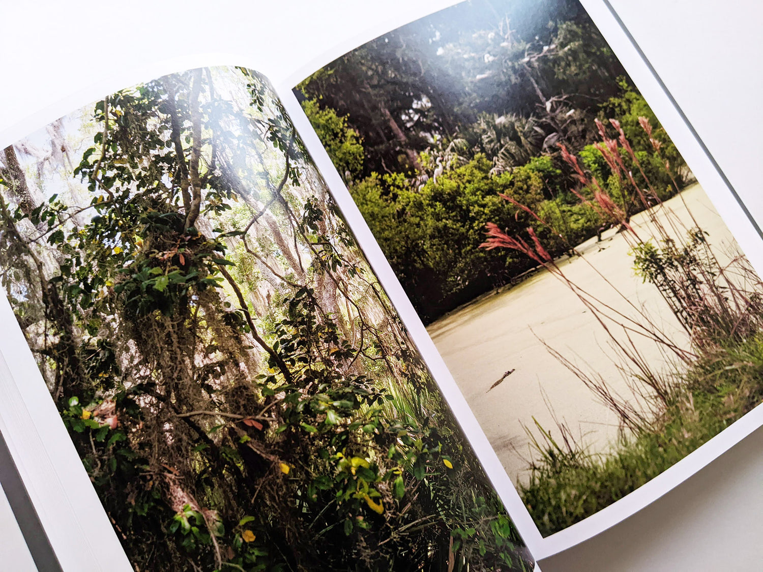 CLOUD PHYSICS / TERRI WEIFENBACH