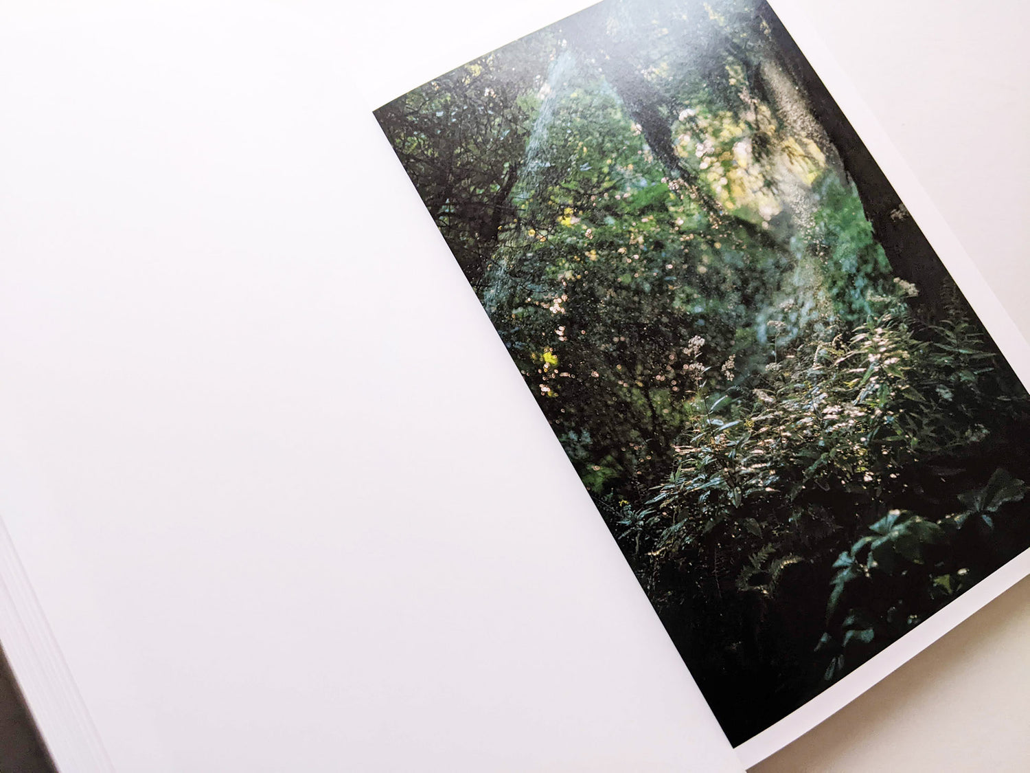 CLOUD PHYSICS / TERRI WEIFENBACH