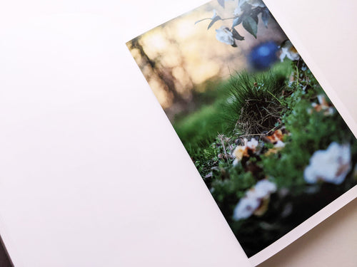 CLOUD PHYSICS / TERRI WEIFENBACH