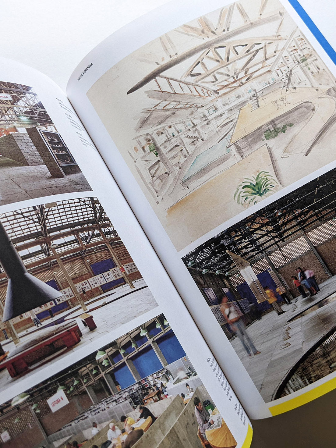 HABITAT / Lina Bo Bardi