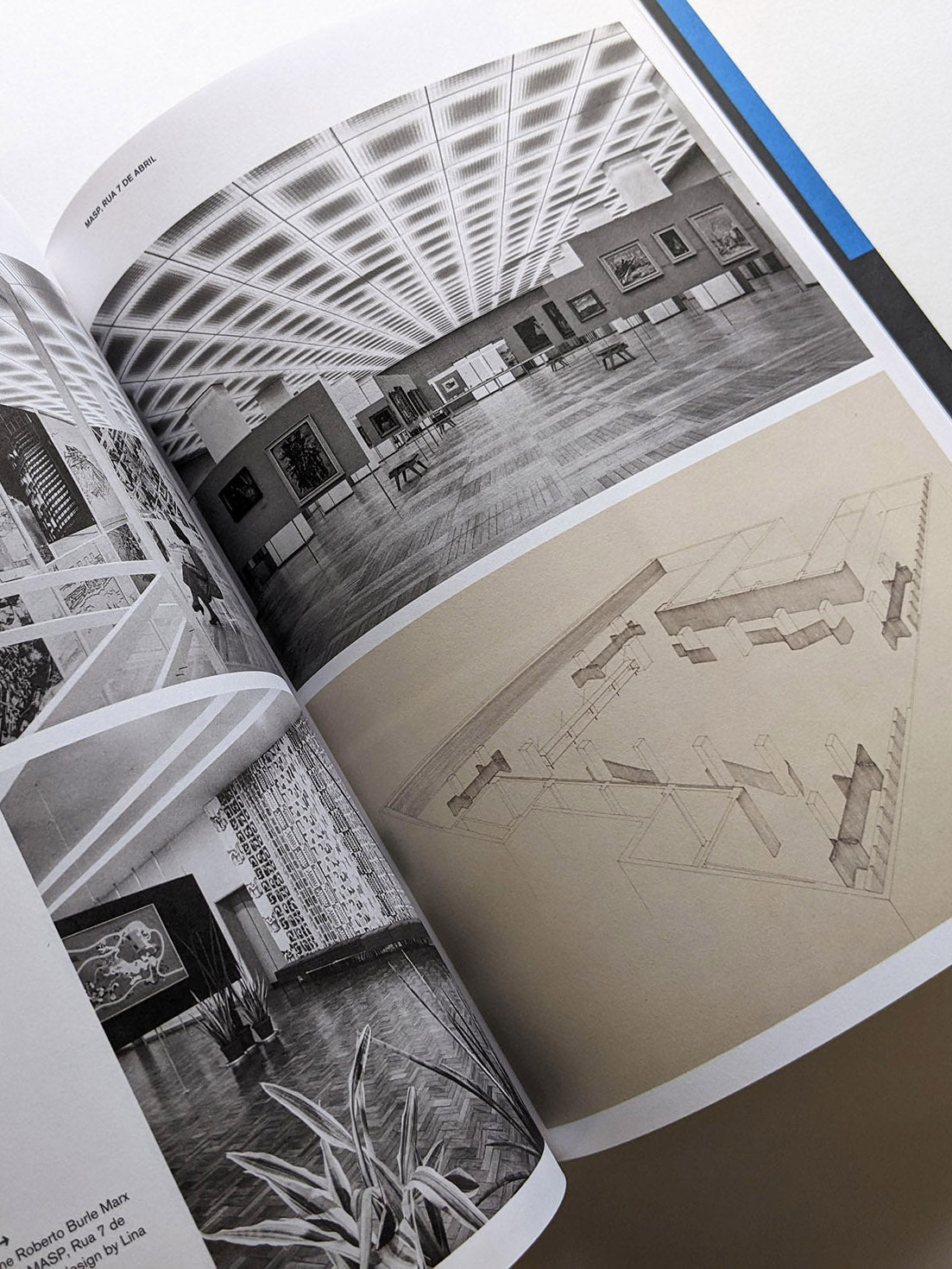 HABITAT / Lina Bo Bardi