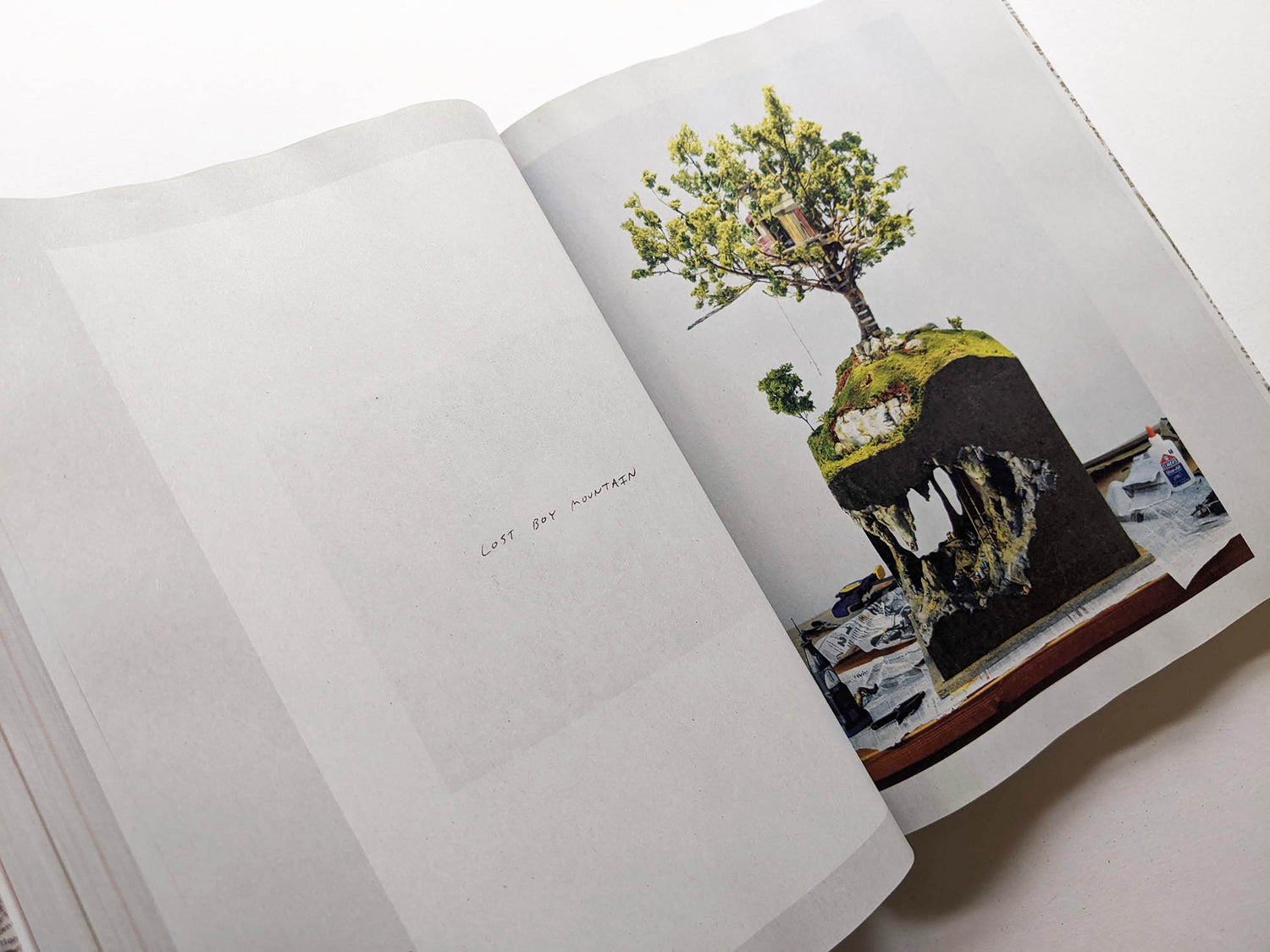 GATHERED LEAVES ANNOTATED / Alec Soth