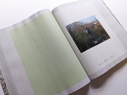 GATHERED LEAVES ANNOTATED / Alec Soth