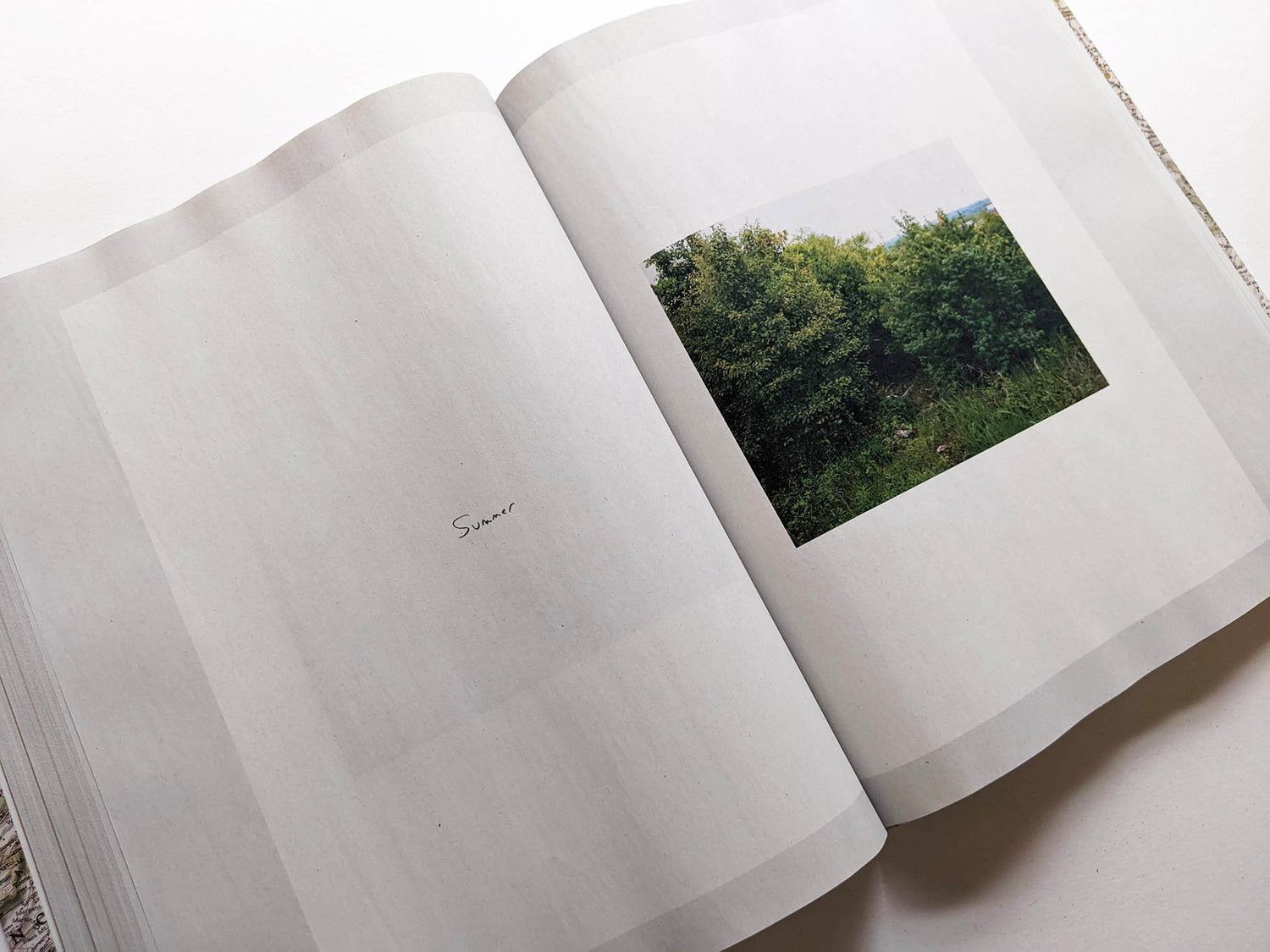 GATHERED LEAVES ANNOTATED / Alec Soth