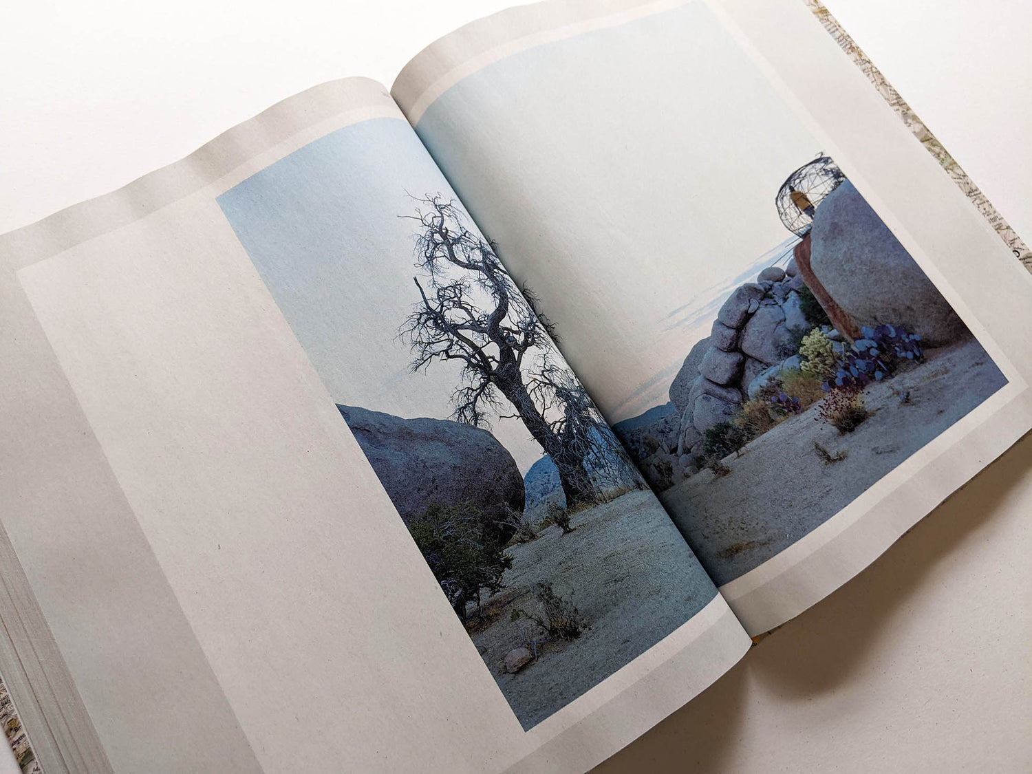 GATHERED LEAVES ANNOTATED / Alec Soth