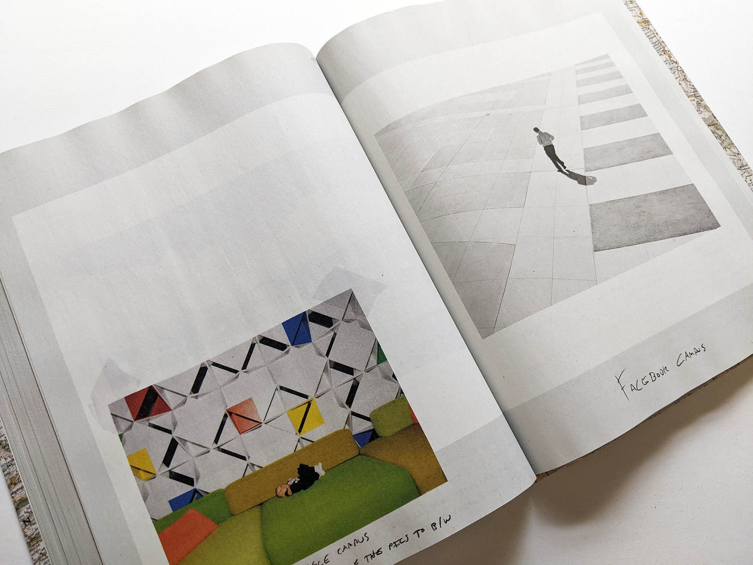 GATHERED LEAVES ANNOTATED / Alec Soth