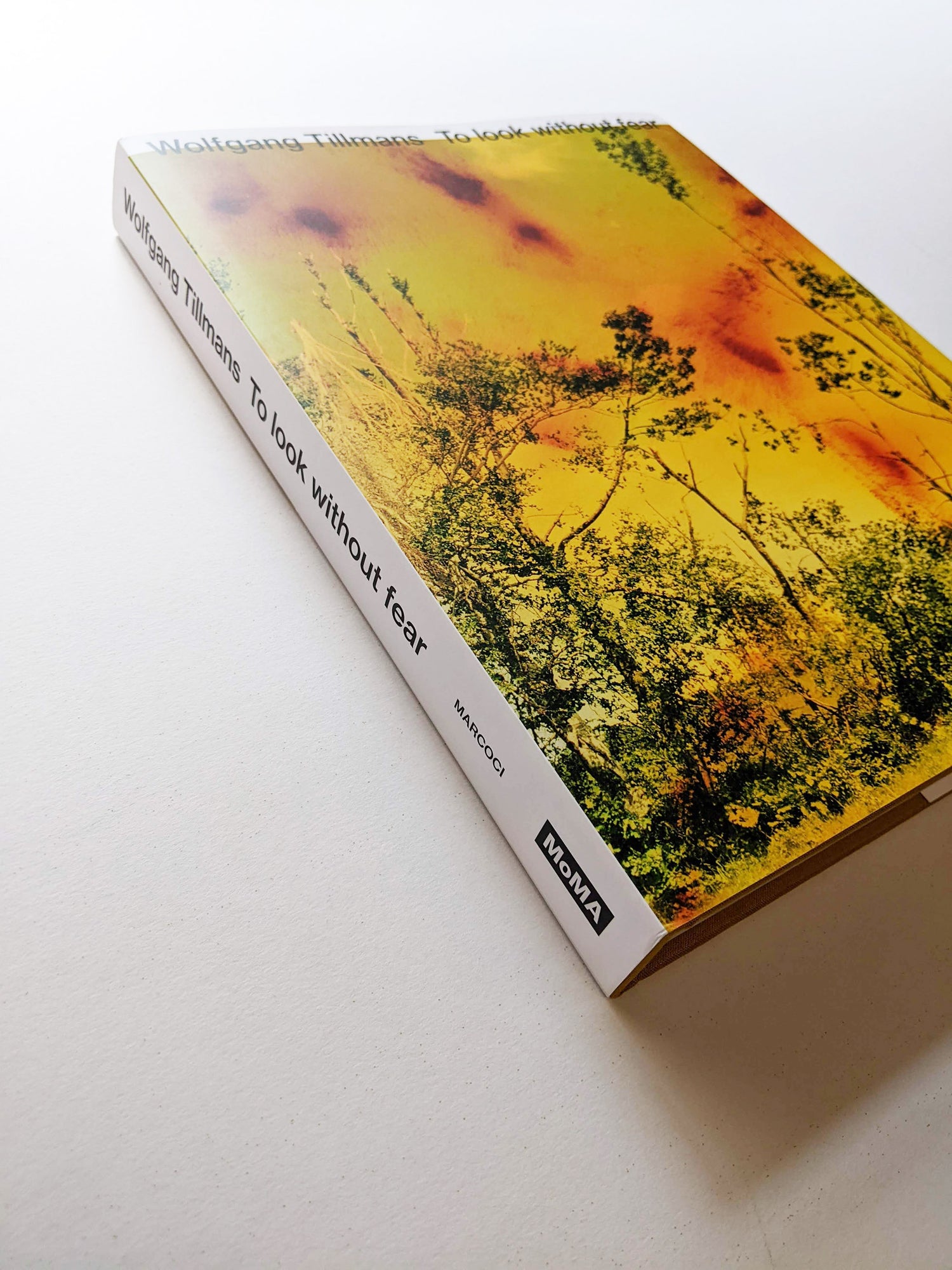 TO LOOK WITHOUT FEAR / Wolfgang Tillmans