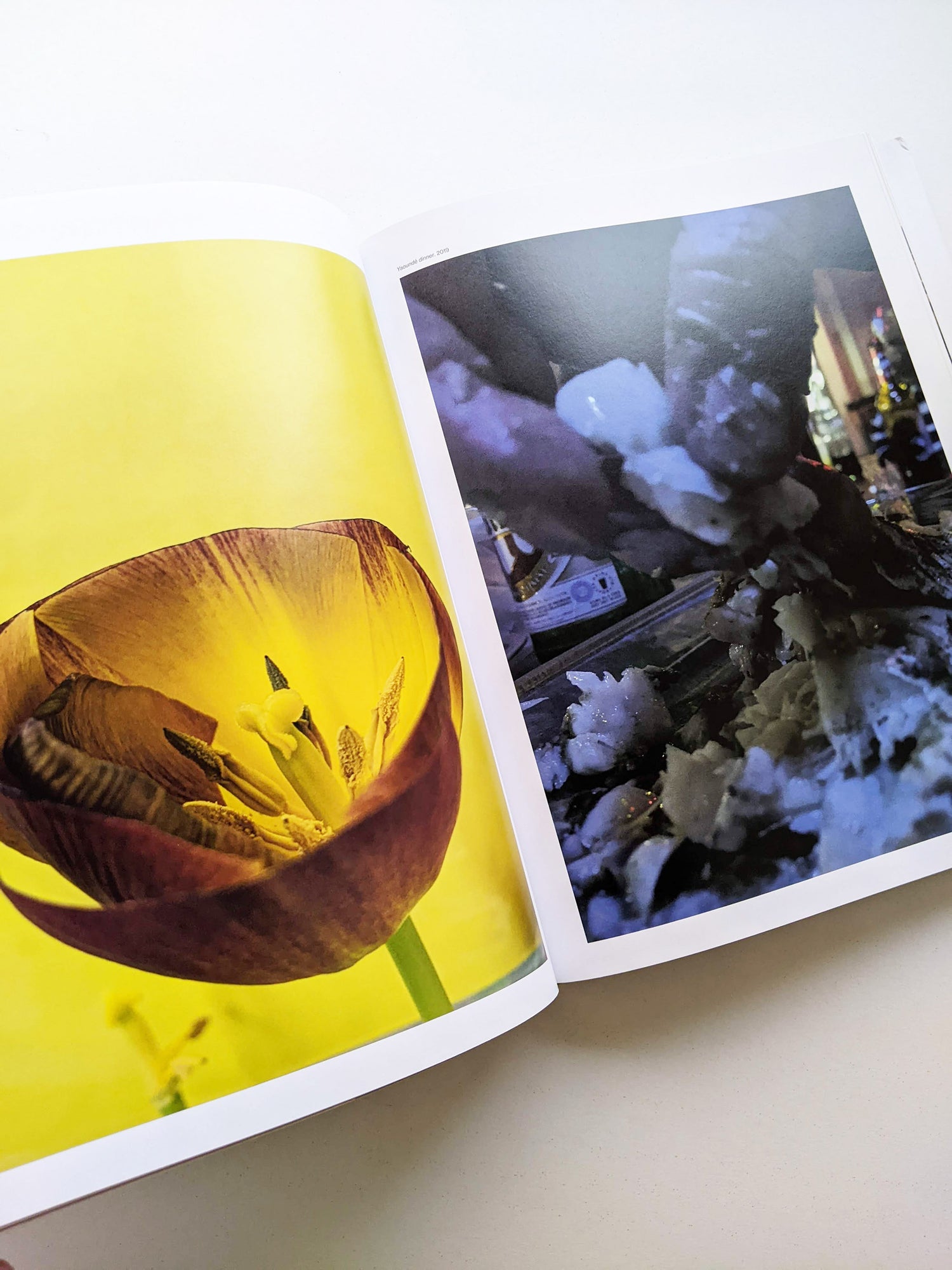 TO LOOK WITHOUT FEAR / Wolfgang Tillmans