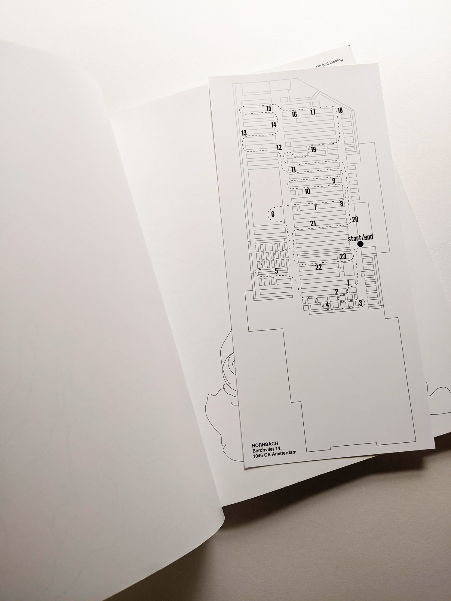 No thanks, I’m just looking / Lisa Sudhibhasilp