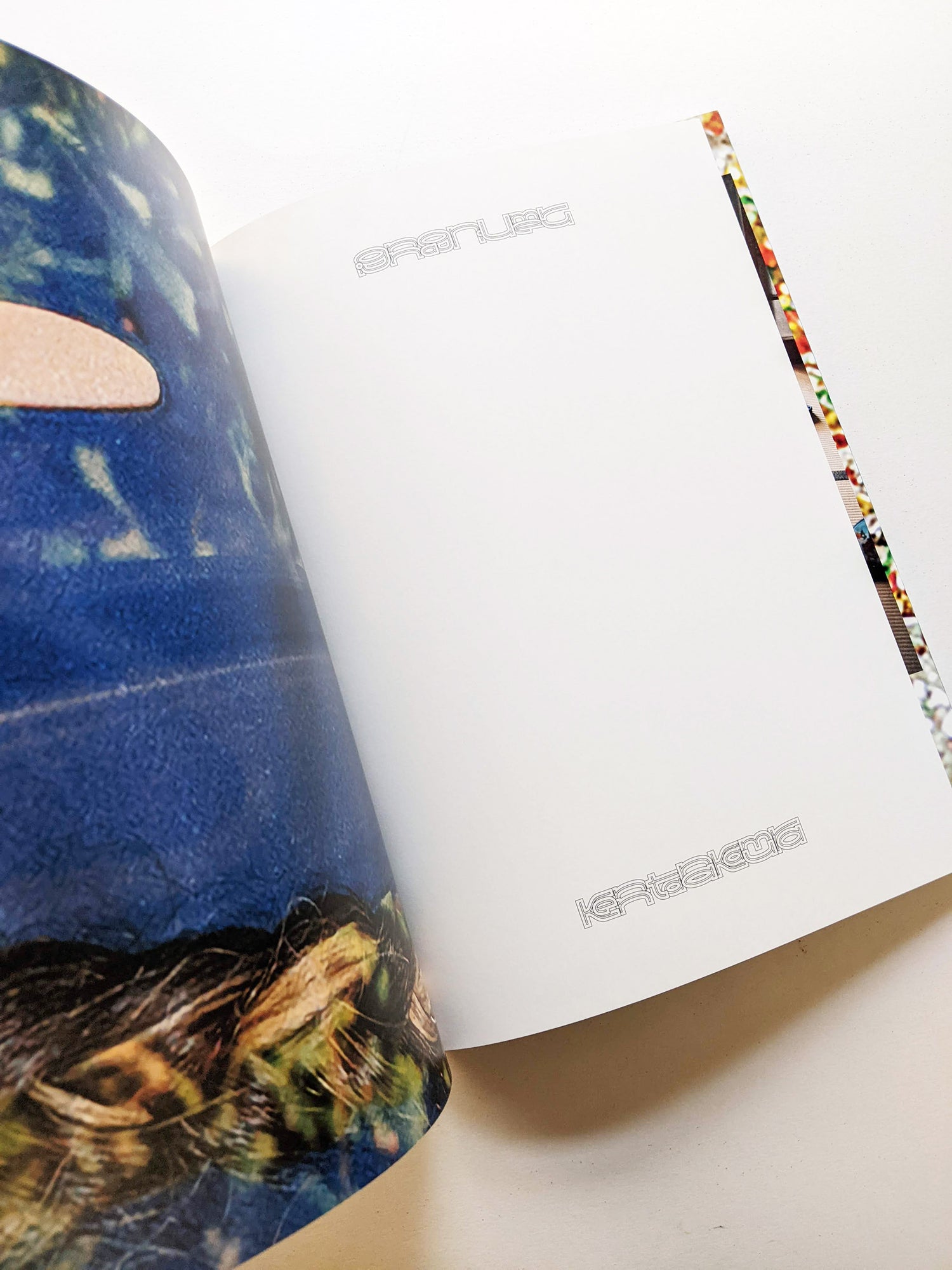 銀河に埋める / Kenta Nakamura [SIGNED]