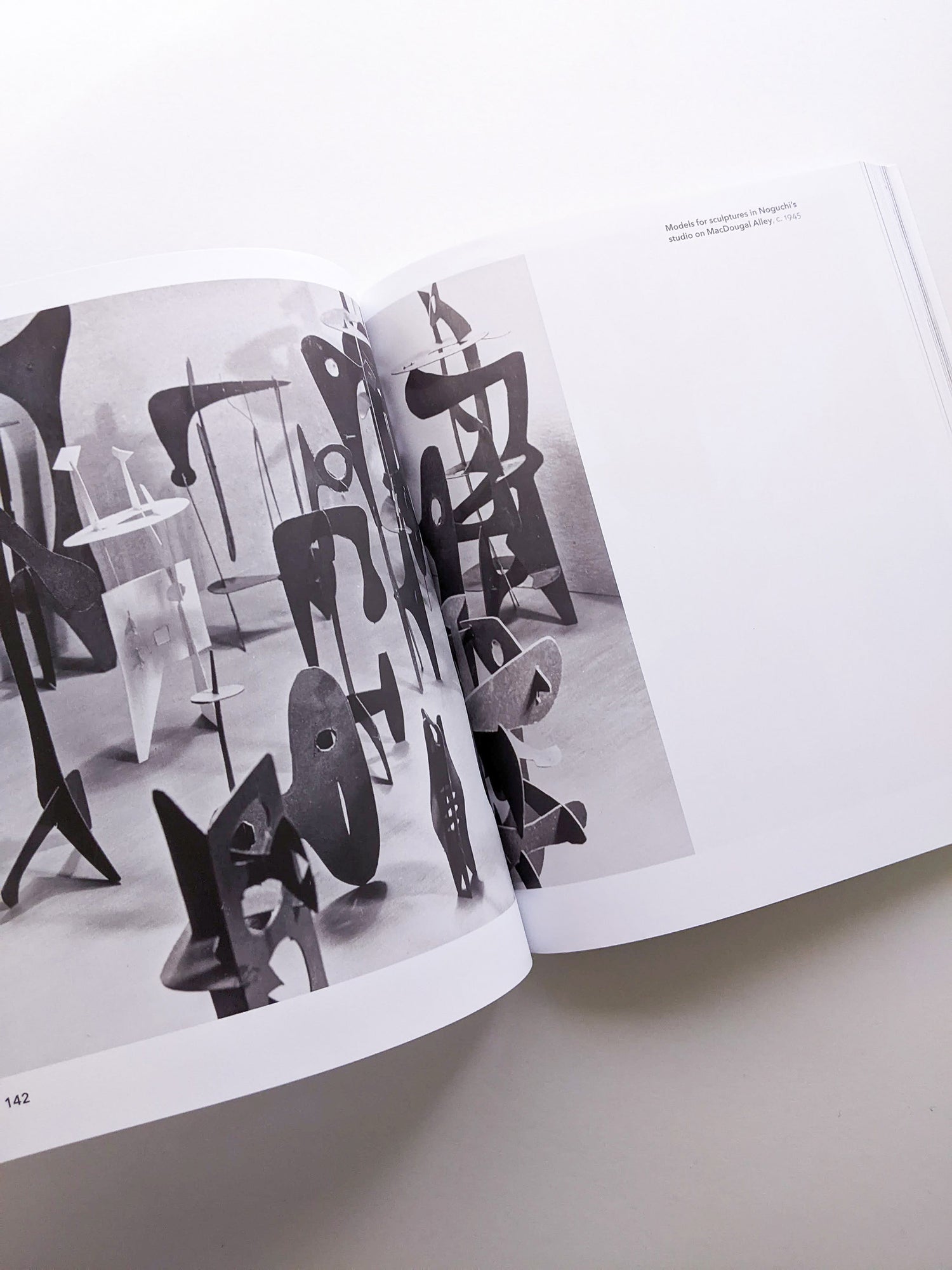 ISAMU NOGUCHI / Isamu Noguchi [SOFTCOVER]