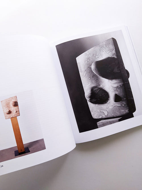 ISAMU NOGUCHI / Isamu Noguchi [SOFTCOVER]