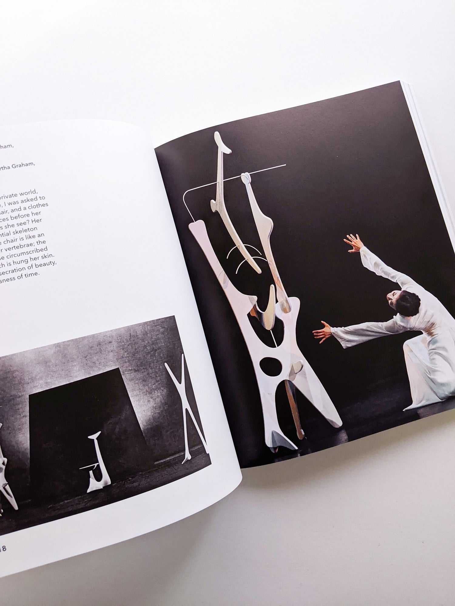 ISAMU NOGUCHI / Isamu Noguchi [SOFTCOVER]